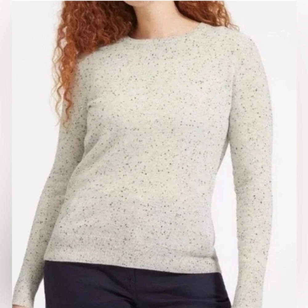Everlane Longsleeve Cashmere Crew Sweater (XXS)